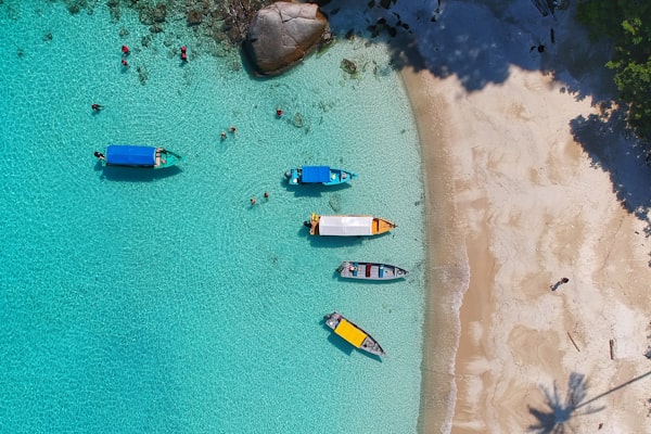 探险队在星空下的沙漠营地中围坐交流